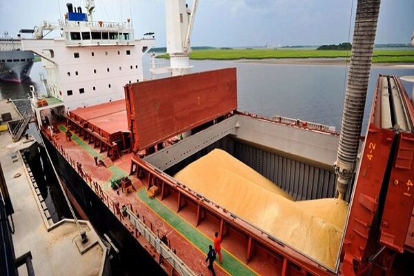 افزایش ۴۹ درصدی واردات گندم در بزرگترین بندر تجاری ایران