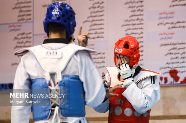 Taekwondo Premier League