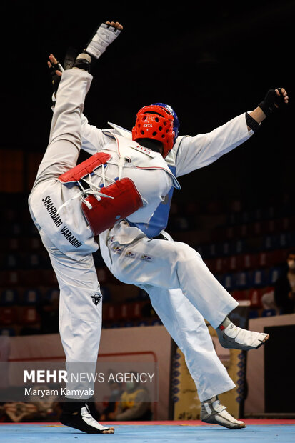 Taekwondo Premier League