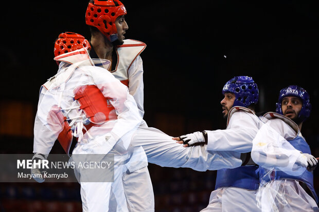 Taekwondo Premier League