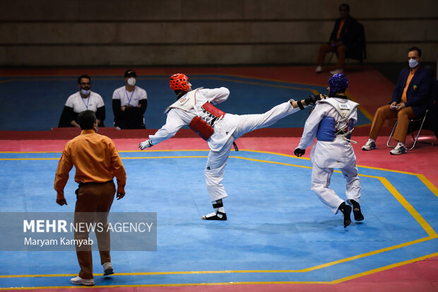 Taekwondo Premier League