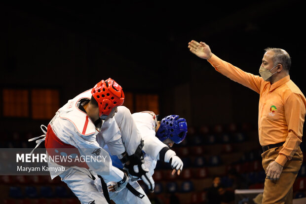 Taekwondo Premier League