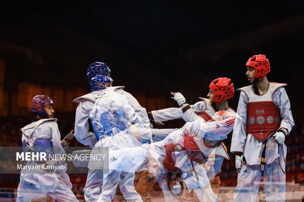 Taekwondo Premier League