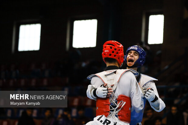 Taekwondo Premier League