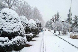 VIDEO: Heavy snow blankets Sepidan of Fars province