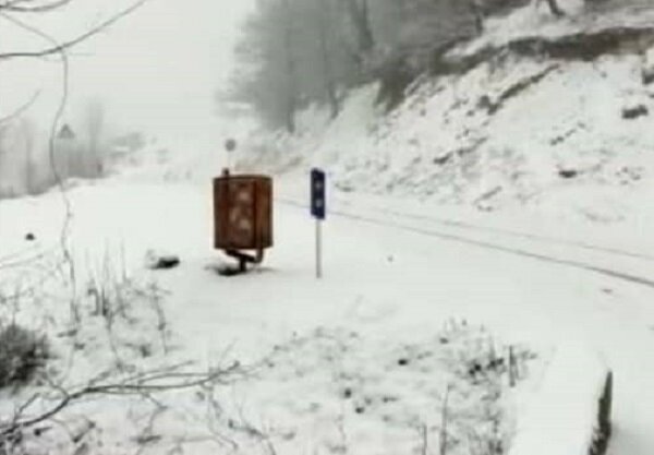 بارش برف نقاط مختلف استان زنجان را سفید پوش کرد