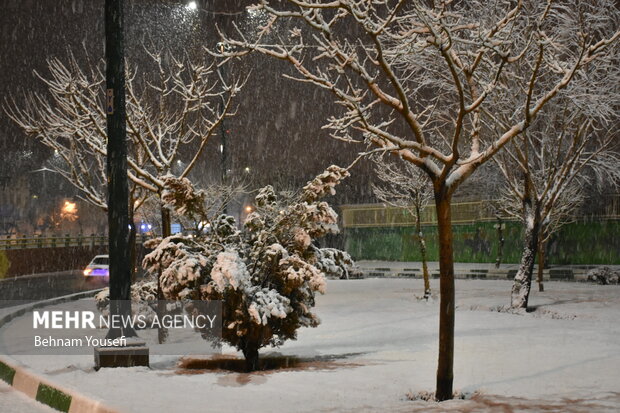 Arak covered in snow
