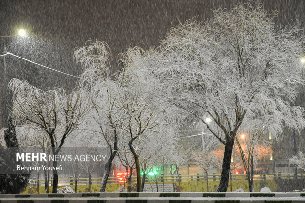 Arak covered in snow
