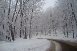 جاده‌های لرستان میزبان برف و باران