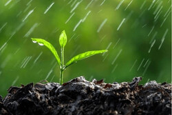 کاهش ۳۷ درصدی بارندگی‌ها در لرستان