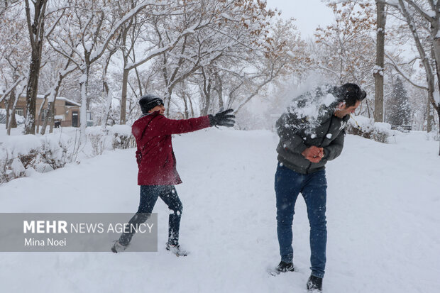 Snow brings joy to people in Tabriz
