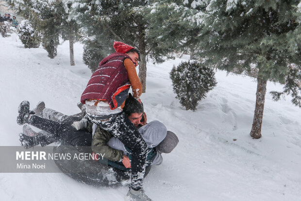 Snow brings joy to people in Tabriz
