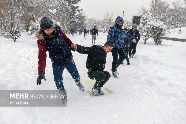Snow brings joy to people in Tabriz
