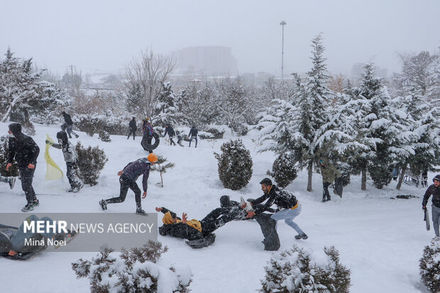 Snow brings joy to people in Tabriz
