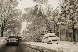 تداوم بارش برف در سنندج برای دومین روز متوالی