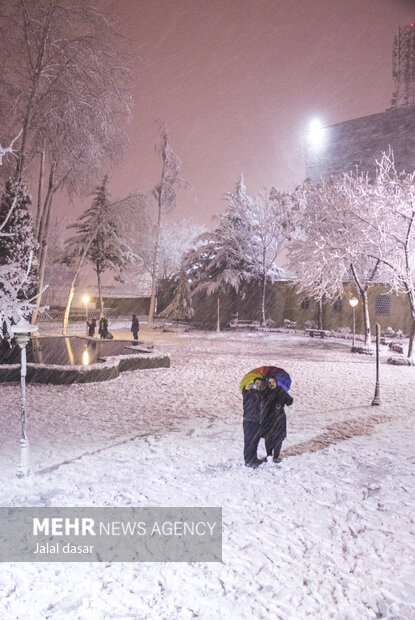 بارش اولین برف زمستانی در سنندج