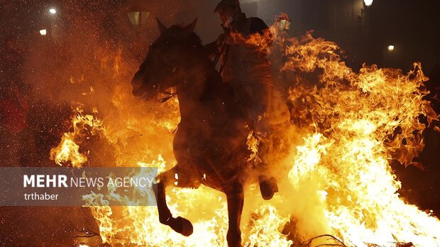 عبور با اسب از میان آتش در جشنواره‌ سنتی اسپانیا