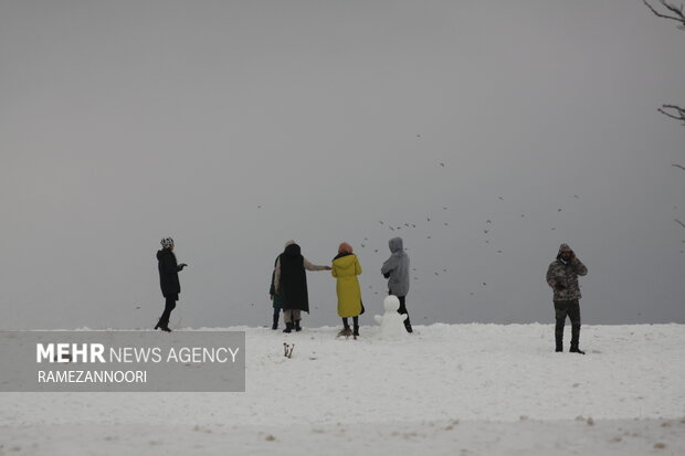 بارش برف ایلام