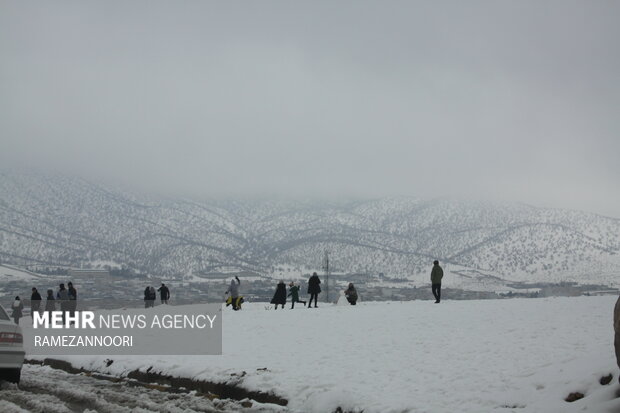 بارش برف ایلام