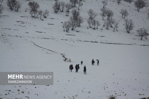بارش برف ایلام