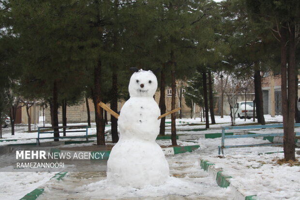 بارش برف ایلام