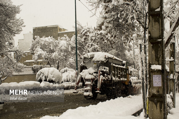 تداوم بارش برف در سنندج برای دومین روز متوالی
