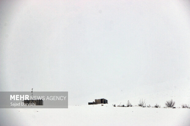 Snowfall in Lorestan