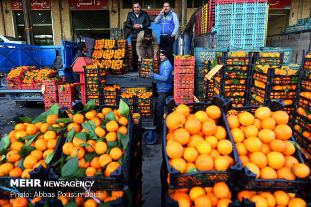 عرضه میوه شب عید در استان همدان ۲۵ درصد زیر قیمت بازار خواهد بود