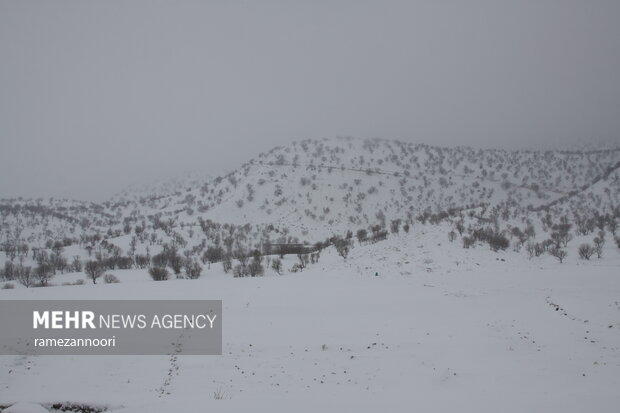 مسیر ۱۱ روستای فریدونشهر مسدود شد