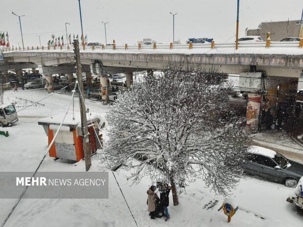 آغاز دوباره بارش برف در اردبیل