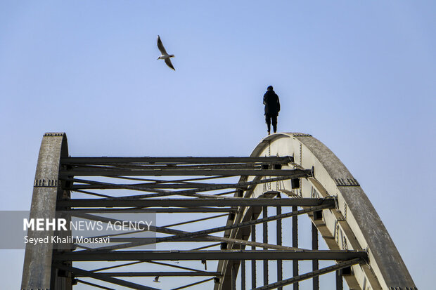 پل سفید و پرندگان