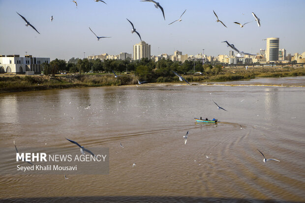 Ahvaz White Bridge hosting  migratory birds