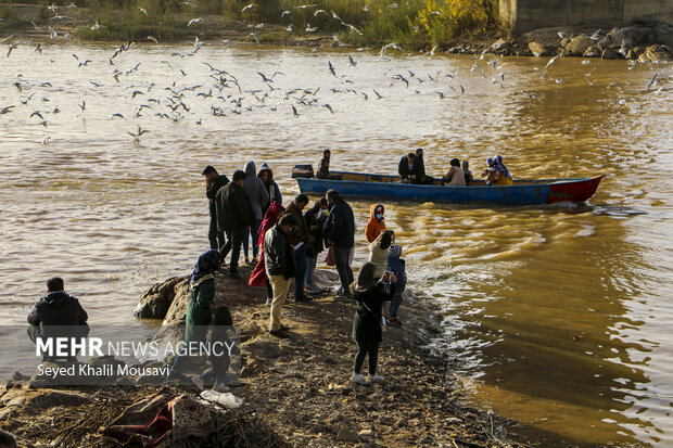 Ahvaz White Bridge hosting  migratory birds