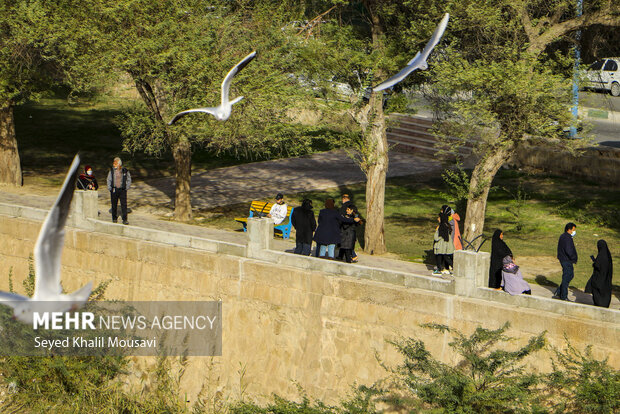 Ahvaz White Bridge hosting  migratory birds