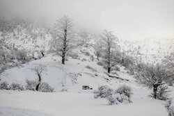 راه ارتباطی ۷۰ روستای مازندران مسدود است/ ارتفاع ۱۲۰ سانتی برف