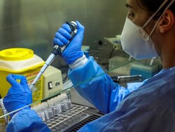 تسجيل 23 حالة وفاة جديدة بفيروس كورونا وتعافي اكثر من 6 ملايين شخص