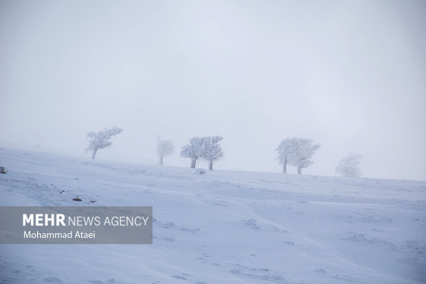 Beautiful scenery of winter snow in Olang-Ramian Road
