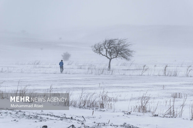 Beautiful scenery of winter snow in Olang-Ramian Road
