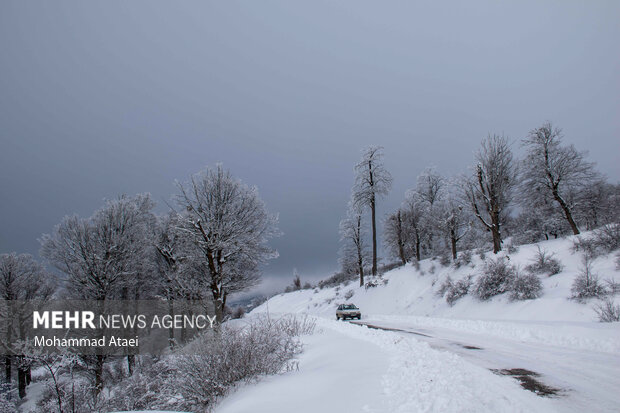 Beautiful scenery of winter snow in Olang-Ramian Road
