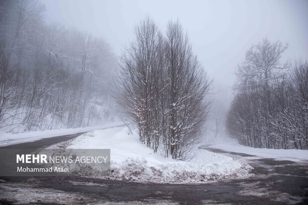 Beautiful scenery of winter snow in Olang-Ramian Road
