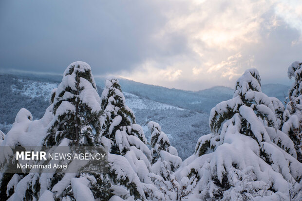 Beautiful scenery of winter snow in Olang-Ramian Road
