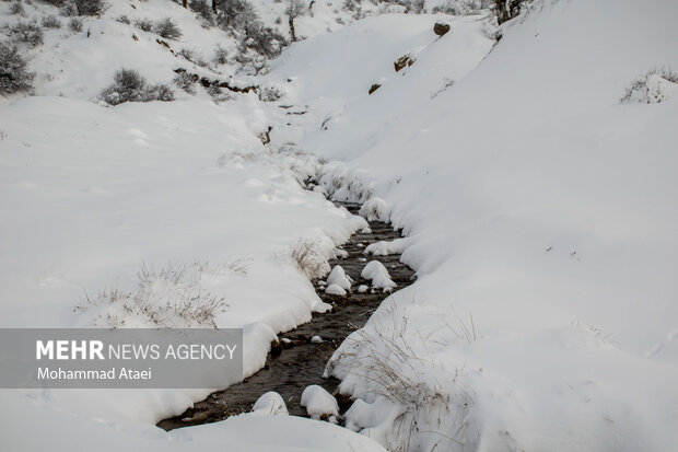 Gülistan eyaletinin karlı manzarasından fotoğraflar