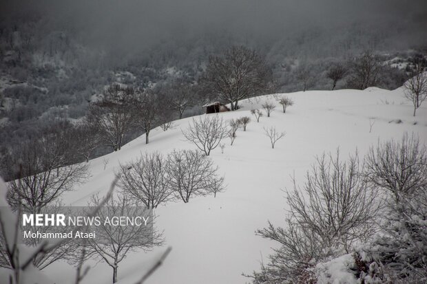 Beautiful scenery of winter snow in Olang-Ramian Road
