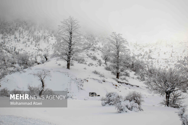 راه ارتباطی ۷۰ روستای مازندران مسدود است/ ارتفاع ۱۲۰ سانتی برف 