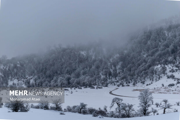 Beautiful scenery of winter snow in Olang-Ramian Road
