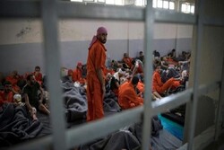 برخی از تروریست های زندان حسکه وارد استان الانبار عراق شدند