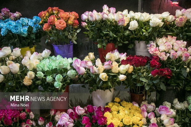 اولین بارانداز گل های تزیینی در فارس راه اندازی می شود 