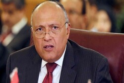وزیر خارجه مصر: بحران سوریه از طریق راهکار سیاسی حل و فصل شود