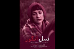 "Üzüm Mevsimi" New York'ta İran sinemasını temsil edecek