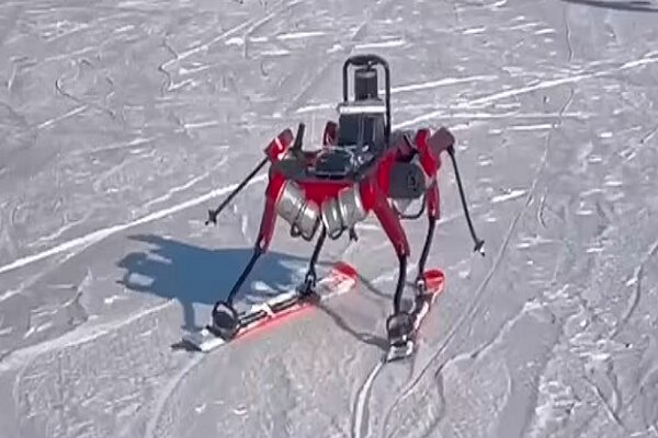 VIDEO: Chinese skiing robot skis down a slope